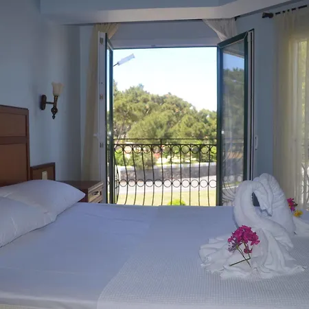Silva Hotel 3*