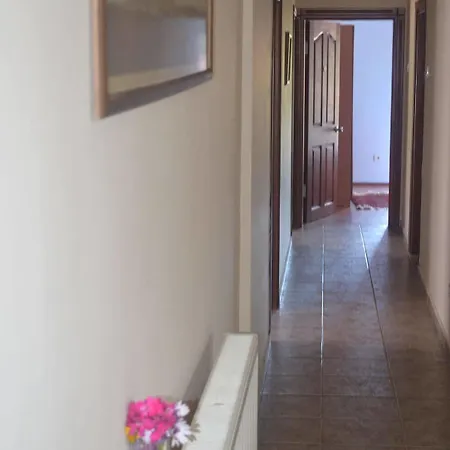 Silva Hotel 3*